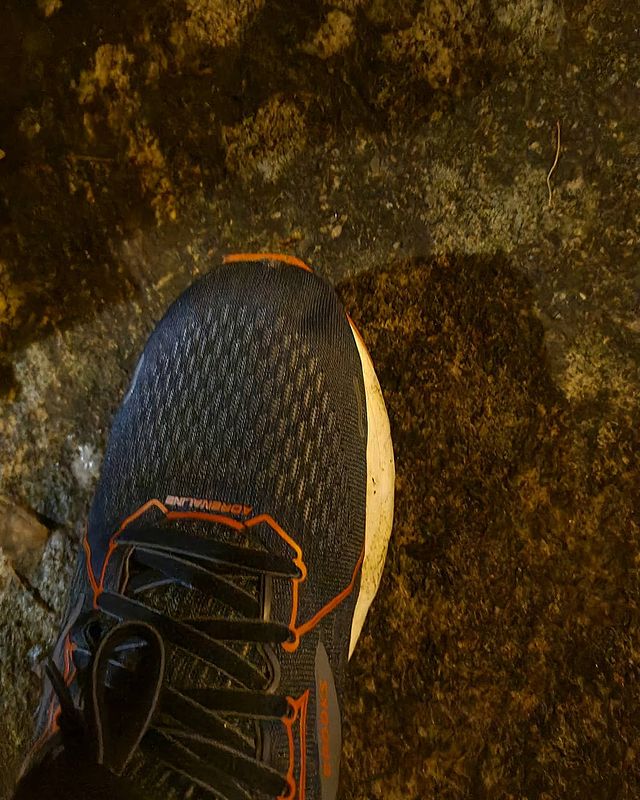 c25k : running shoe